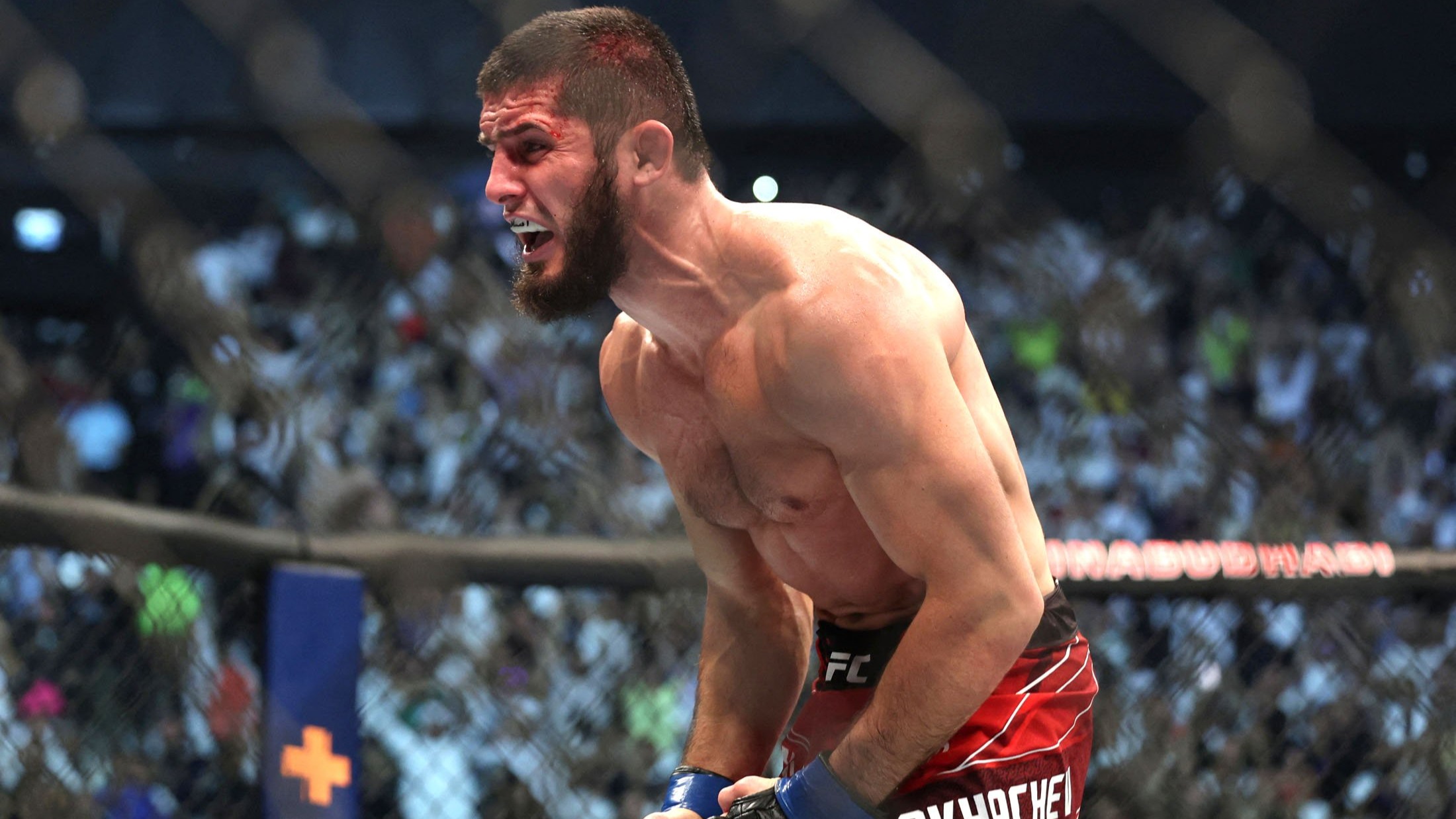 Что смотреть на неделе: бой Махачева на UFC 302, Бивол в Эр-Рияде и очередная битва Шлеменко
