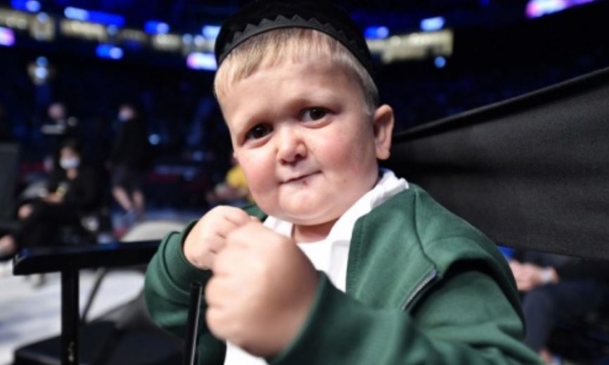 Видео: Хасбик размазал гамбургер по лицу чемпиона UFC Волкановски