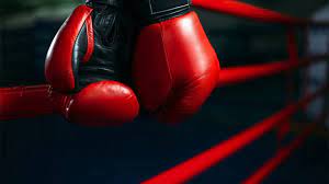 В IBA считают «мошеннической организацией» альтернативную федерацию бокса
