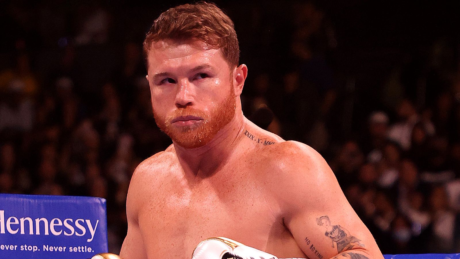 Canelo Р±РѕР№ 2021