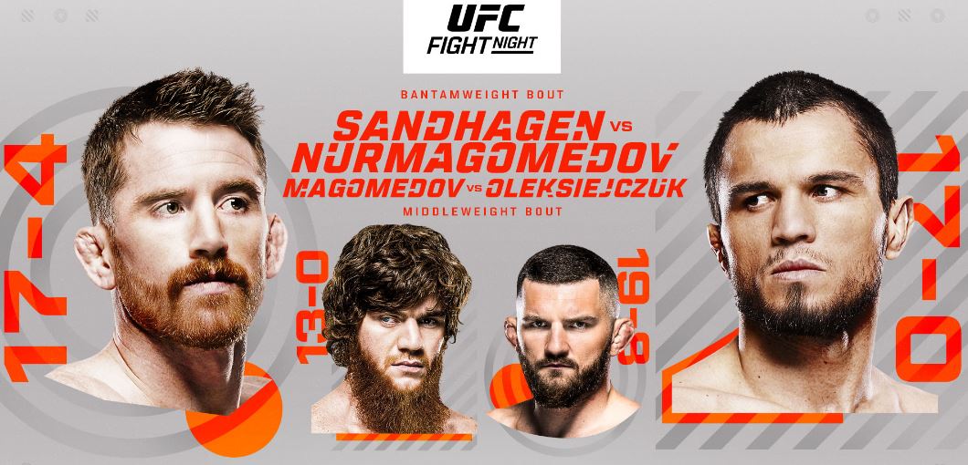 Опубликован обновленный постер турнира UFC в Абу-Даби с участием Нурмагомедова и Шары Буллета