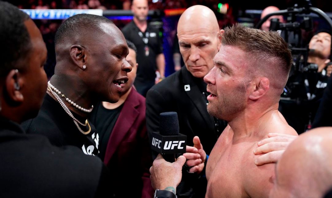 Громкий расовый конфликт решится в октагоне: титульный бой Дю Плесси и Адесаньи возглавит UFC 305