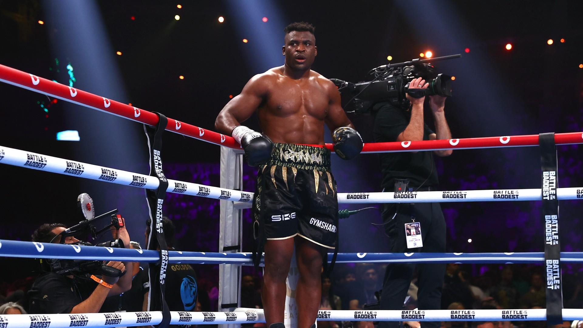 Камерунец Фрэнсис Нганну проведет второй бой в профессиональном боксе