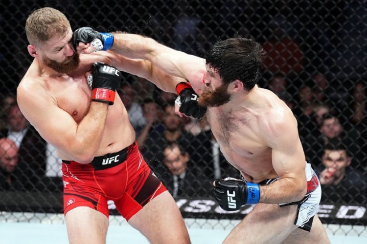 Стали известны результаты турнира UFC 282: Анкалаев – Блахович