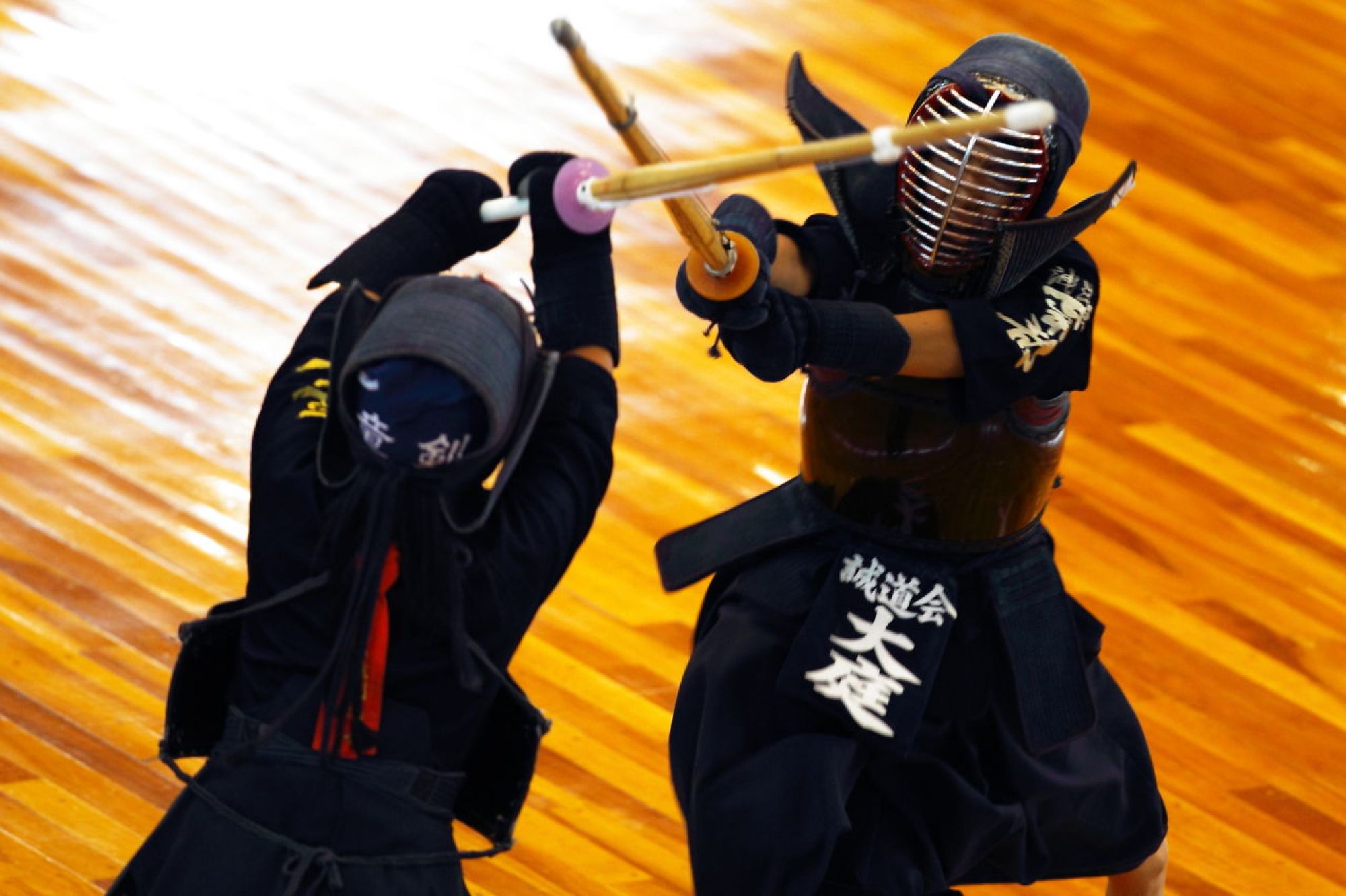 Виды японских боевых искусств