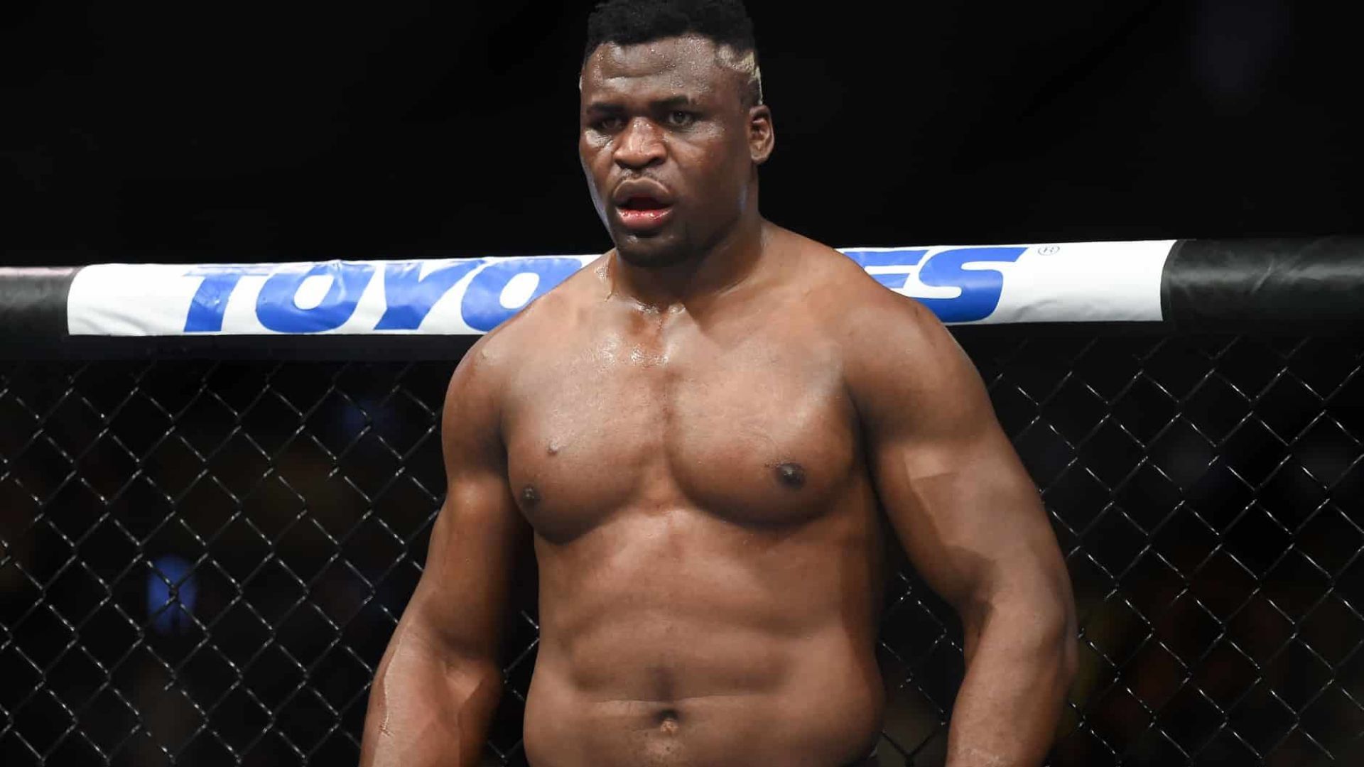 Менеджер Нганну предложил главе UFC обнародовать все документы, связанные с боем Нганну – Льюис