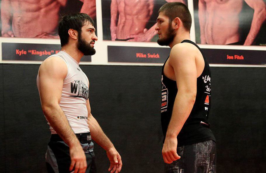 Хабиб Нурмагомедов: Тухугов уже начал тяжелые тренировки к турниру UFC 267