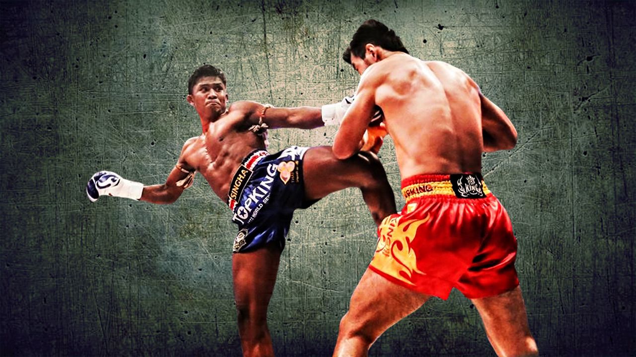 Что лучше бокс или тайский бокс