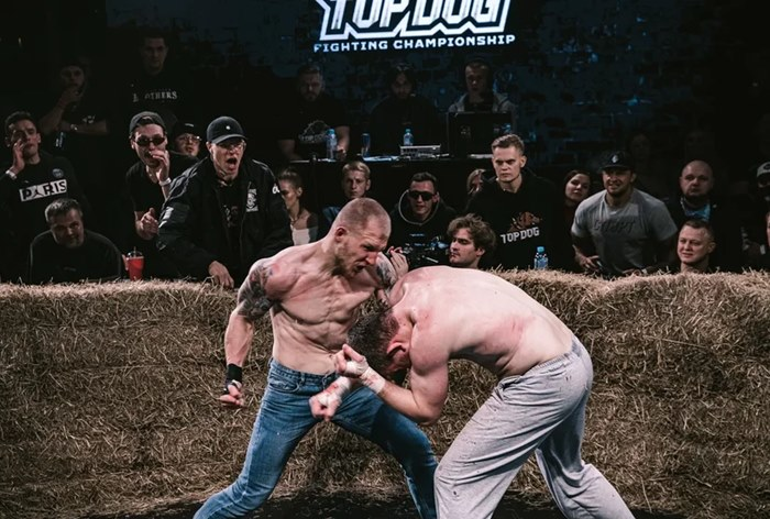 Стал известен полный кард турнира Top Dog 13