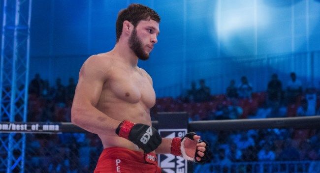 Боец Bellator Александр Шаблий: Анкалаев — будущий претендент на пояс