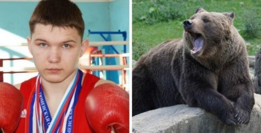 Зарезавшего медведя боксера заподозрили в браконьерстве