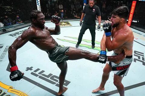 Гастелум не согласен с решением судей отдать победу Каннонье в главном бое UFC on ESPN 29