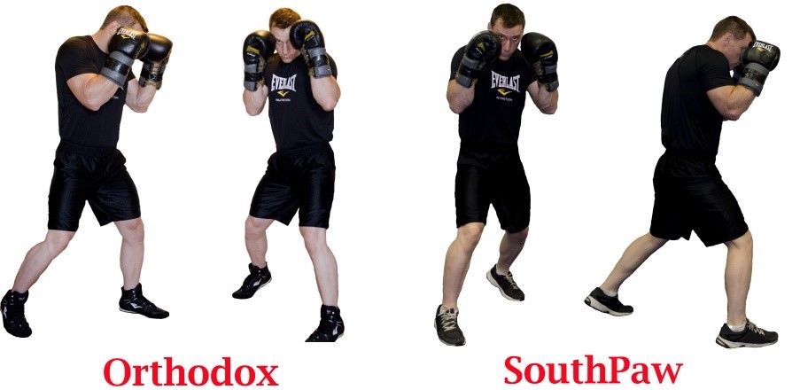 Основы техники бокса
